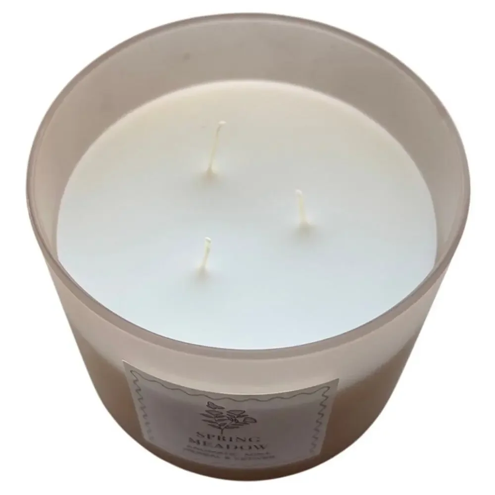 Place & Time Spring Meadow 3-Wick 14oz Candle Scented NEW Aromatic Mint Earthy
